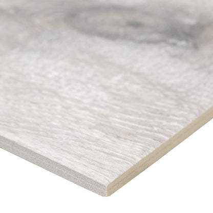 Antoni Platinum Porcelain Tile