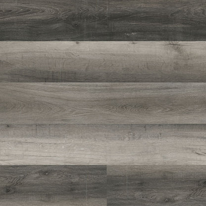 XL Cyrus® Bracken Hill