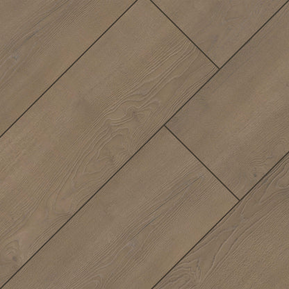 Shorecliffs Brundinson