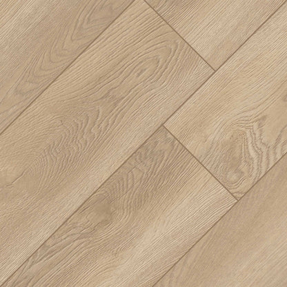 Shorecliffs Schertz Oak