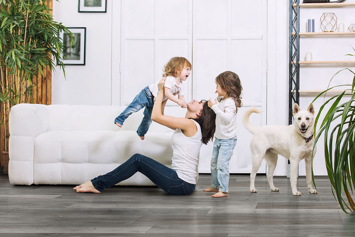 XL Cyrus Katella Ash Luxury Vinyl Planks