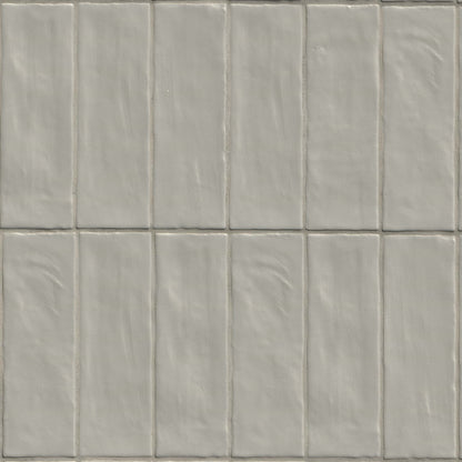 Zest Aloe Tile 2.5x8