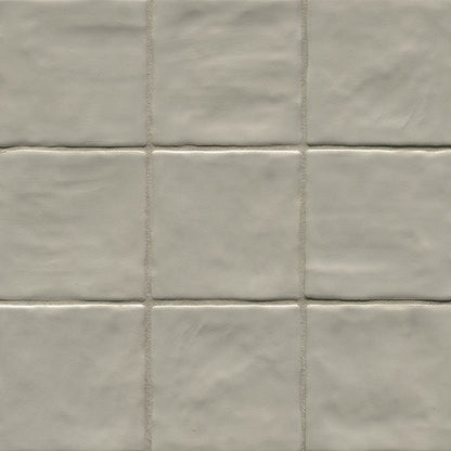 Zest Aloe Tile 4x4